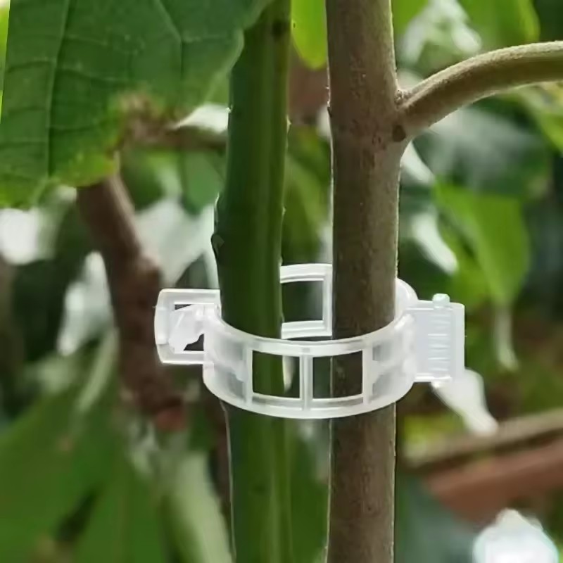 Gardening Tools Holder - 500/50PCS Plant Support Clips Reusable Plastic