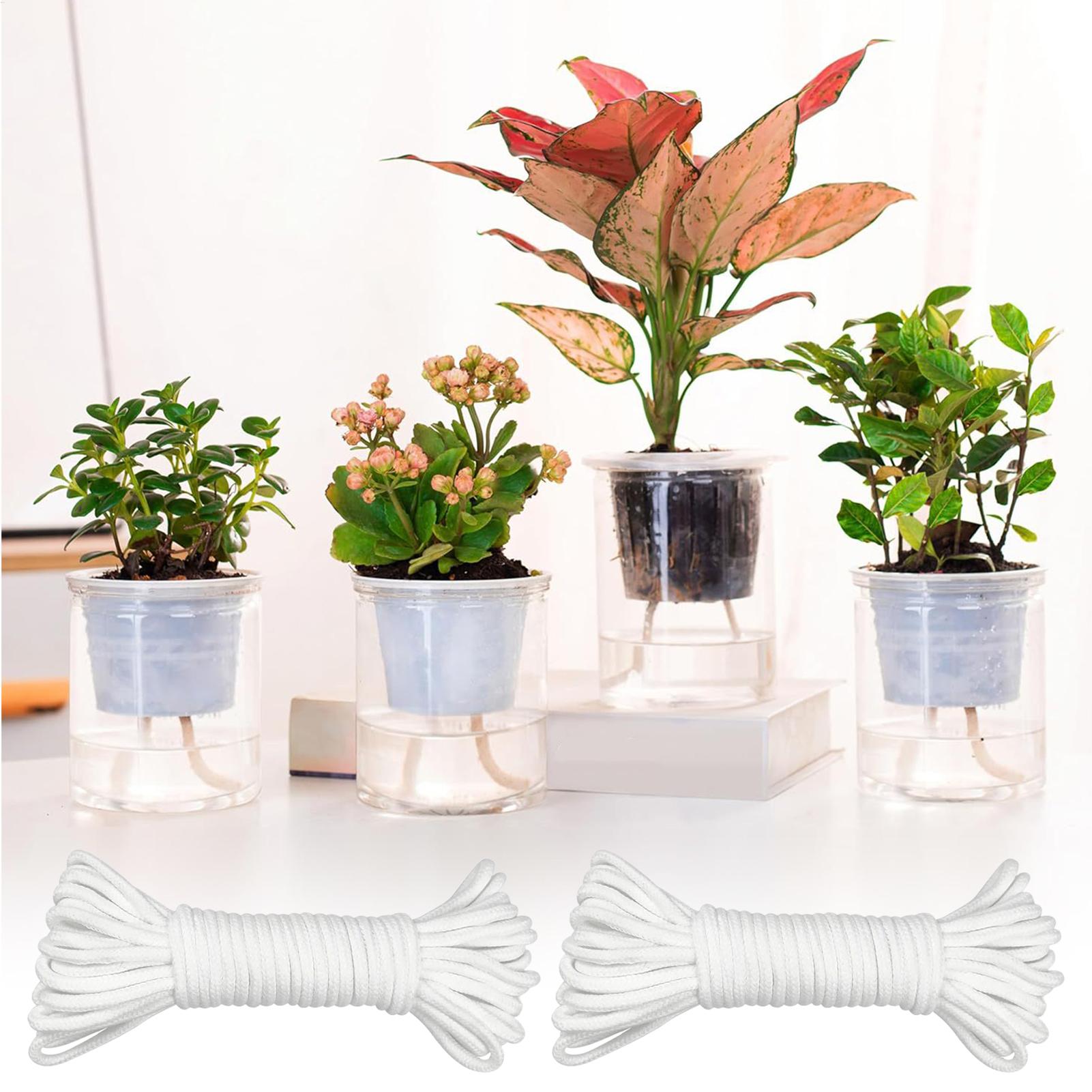 Plant Wicks For Self Watering  - Automatic Plant Waterer recension och pris