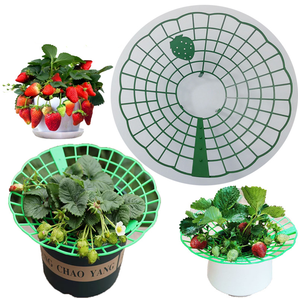 20PCS Strawberry Stand Green C - Gardening Tools Holder recension och pris