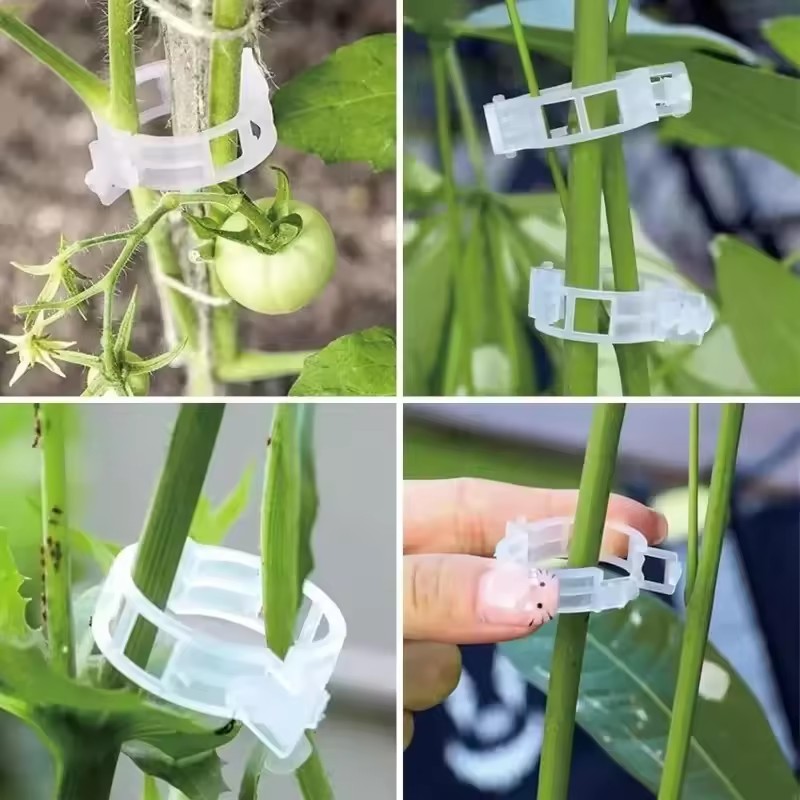500/50PCS Plant Support Clips  - Gardening Tools Holder recension och pris
