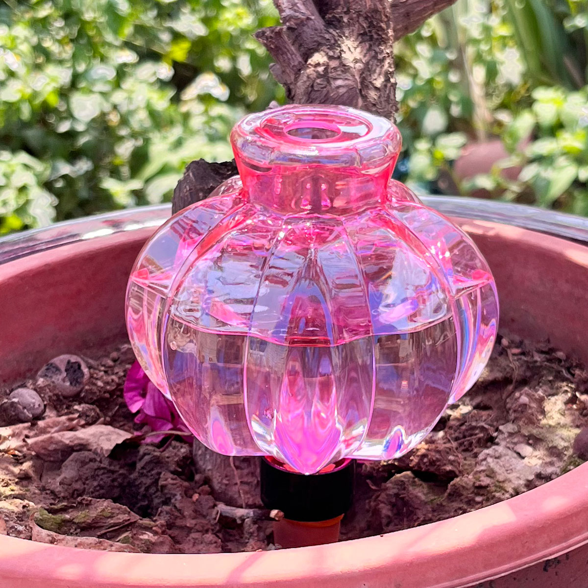 2pcs Self Watering Drip Irriga - Automatic Plant Waterer recension och pris