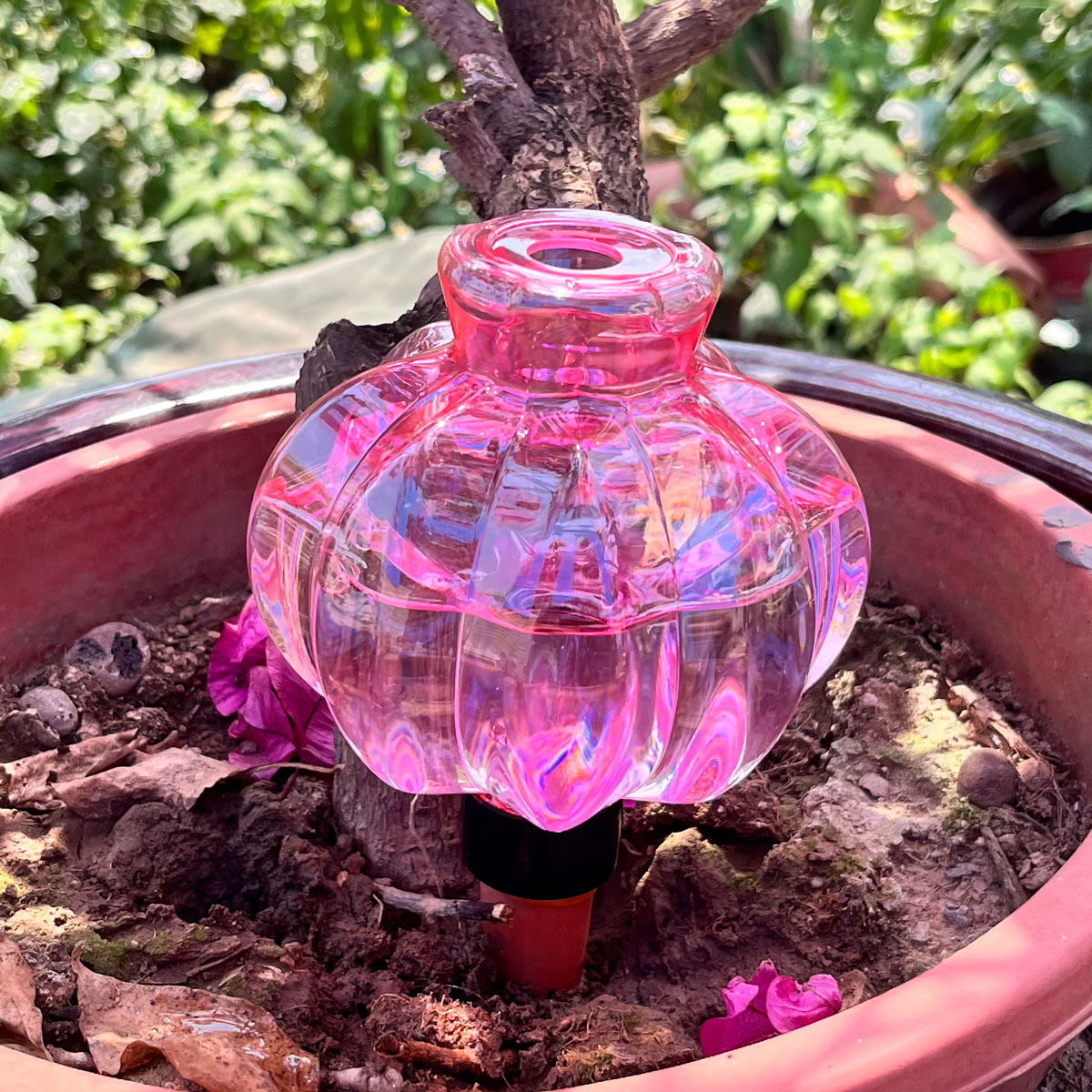 2pcs Self Watering Drip Irriga - Automatic Plant Waterer recension och pris