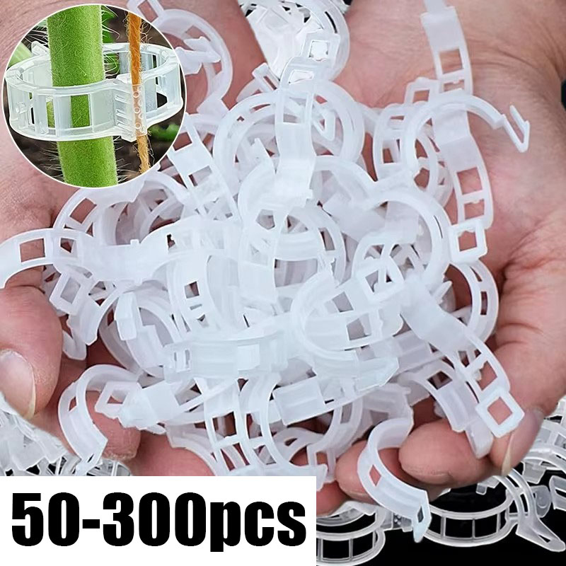 50-300PCS Plant Support Clips  - Gardening Tools Holder recension och pris