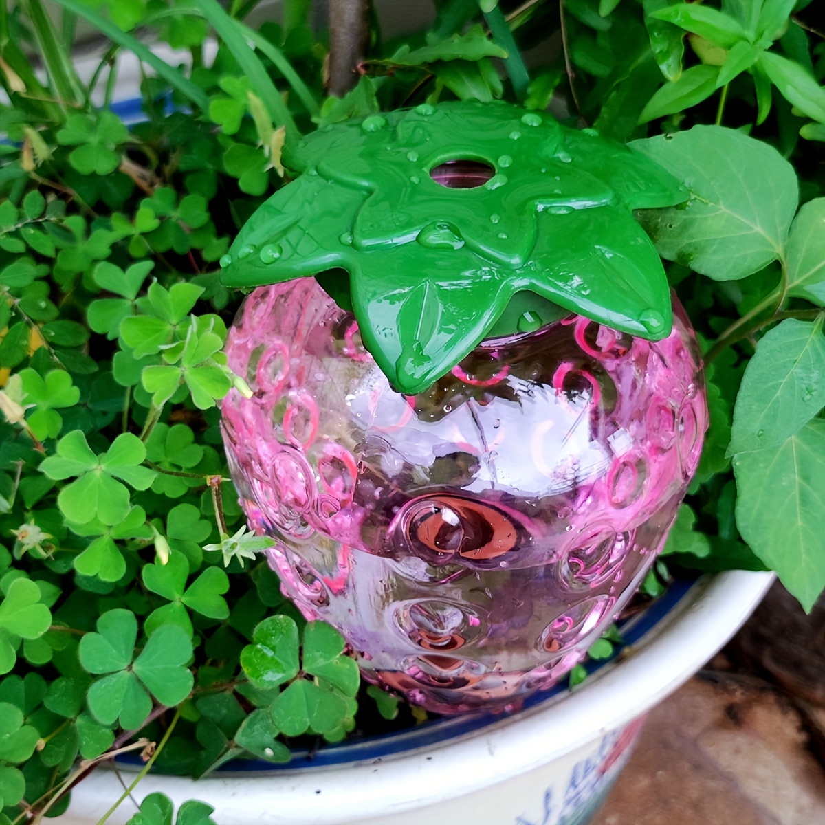 2 Pcs Automatic Watering Tool  - Automatic Plant Waterer recension och pris