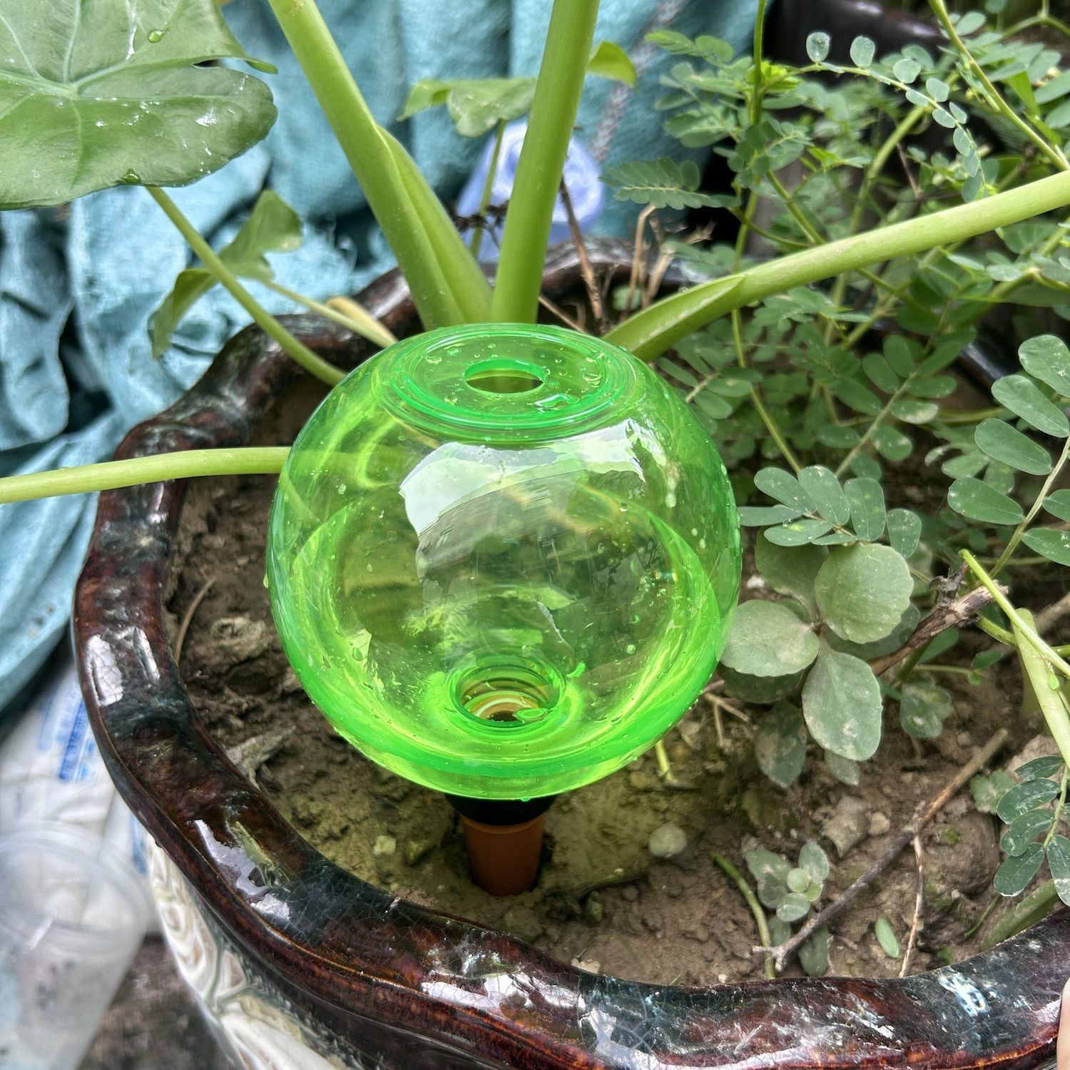 2 Pcs Automatic Flower Waterer - Automatic Plant Waterer recension och pris