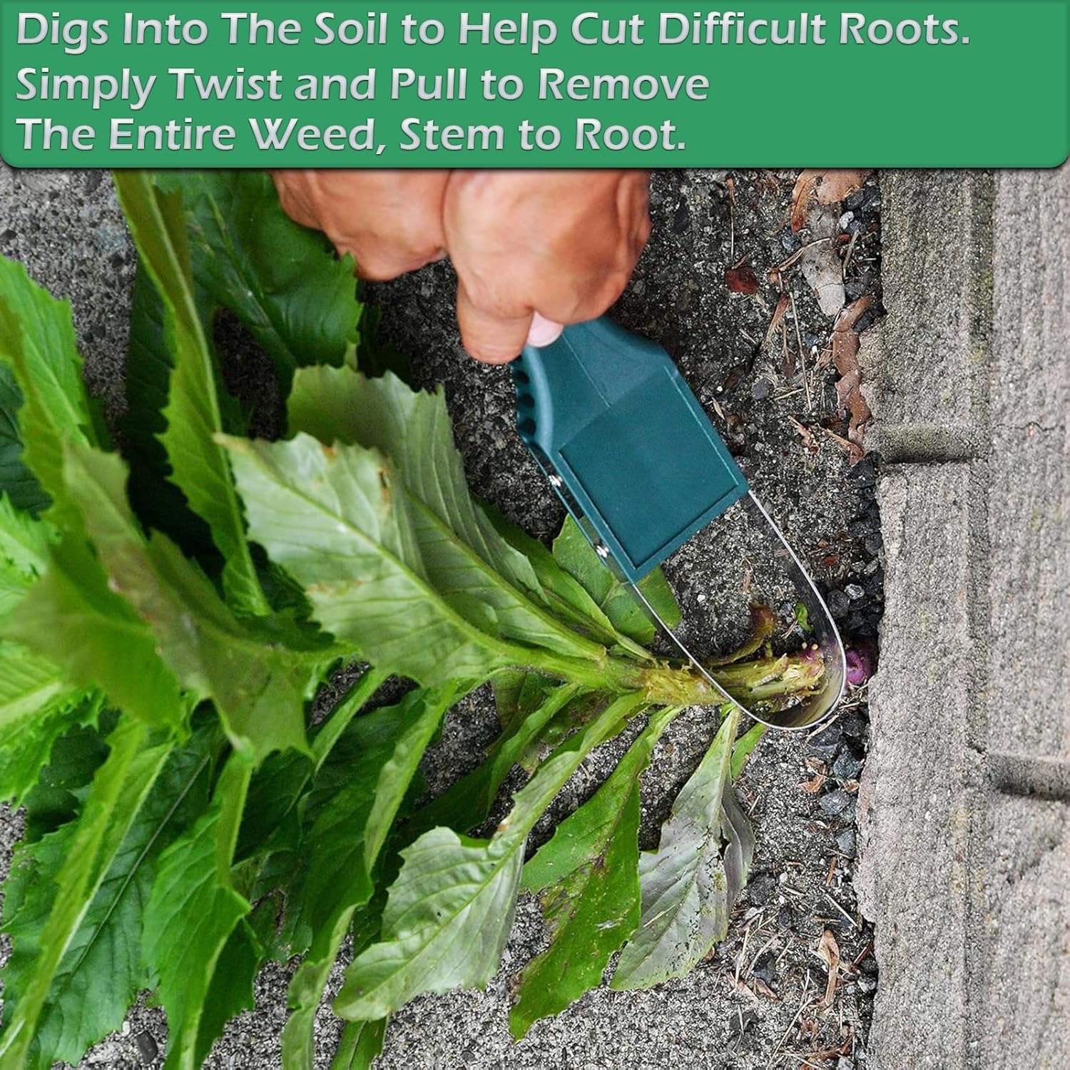 Weed Puller Tool for Gardening - Gardening Tools Images recension och pris