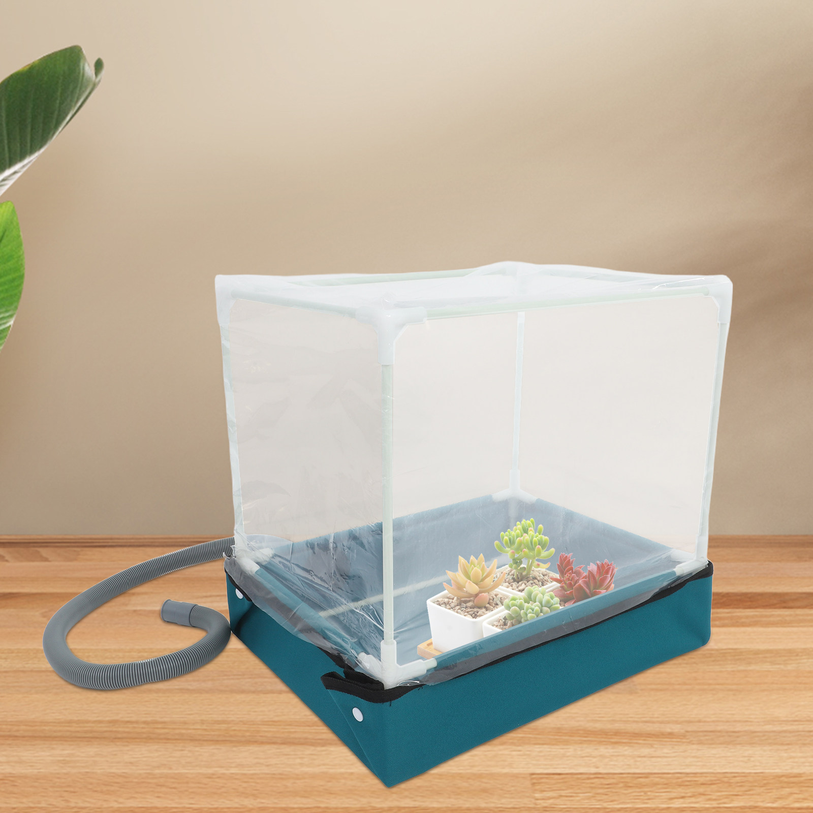 Mini Succulent Greenhouse Smal - Greenhouse Mini Indoor recension och pris