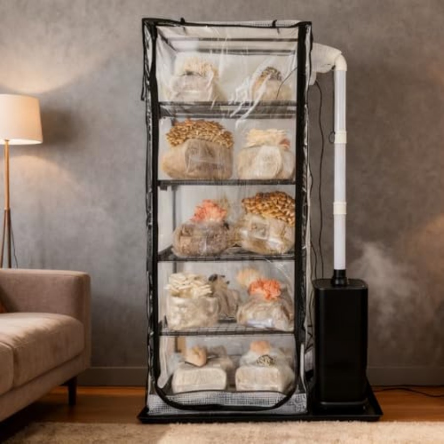 Mushroom Grow Tent for Indoor  - Greenhouse Mini Indoor recension och pris