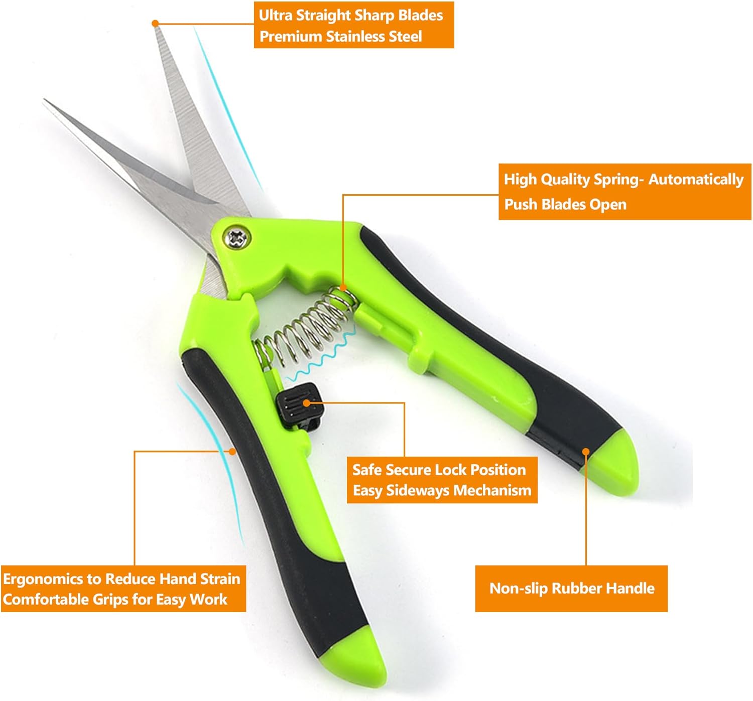 5Pcs Succulent Tools Set with  - Gardening Tools Images recension och pris