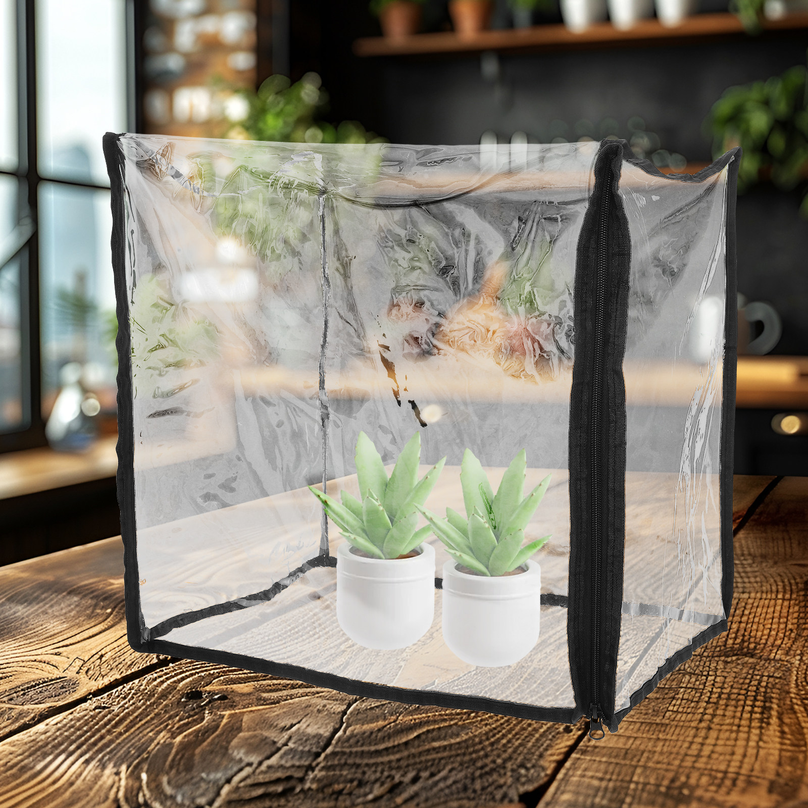 Mini Succulent Greenhouse Cove - Greenhouse Mini Indoor recension och pris