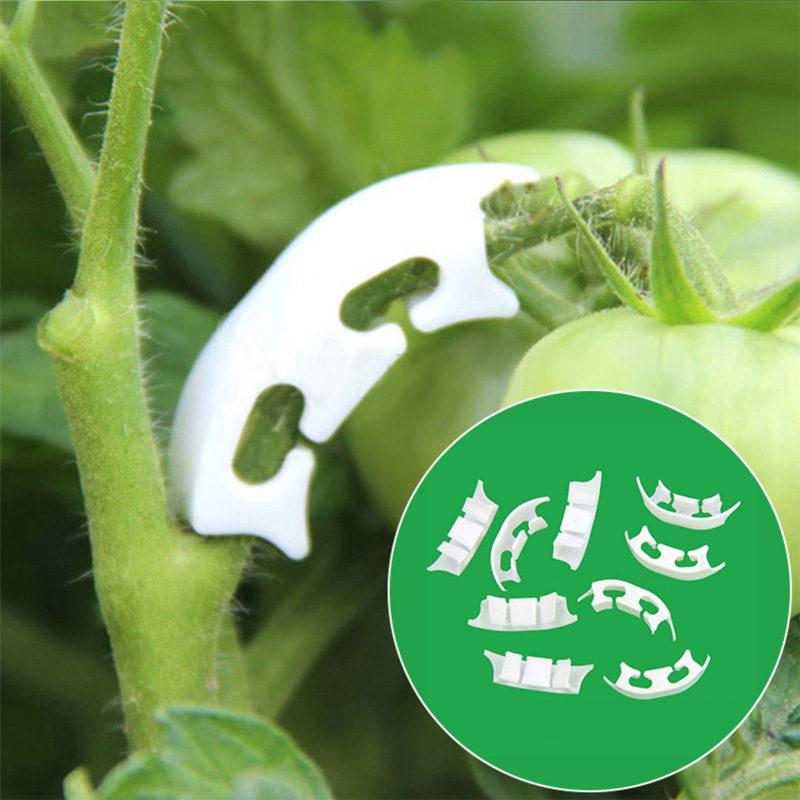 50/100pcs Botany-stem Vine Str - Gardening Tools Holder recension och pris