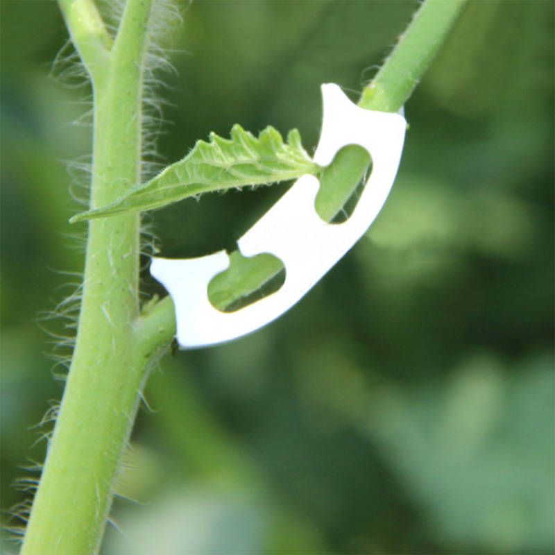 50/100pcs Botany-stem Vine Str - Gardening Tools Holder recension och pris