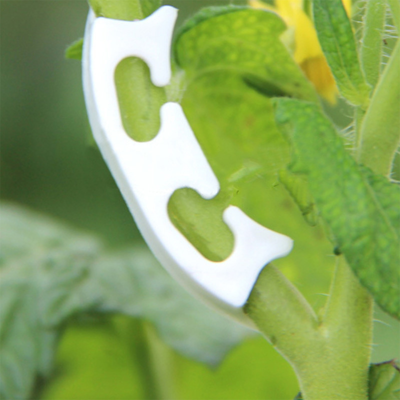 50/100pcs Botany-stem Vine Str - Gardening Tools Holder recension och pris