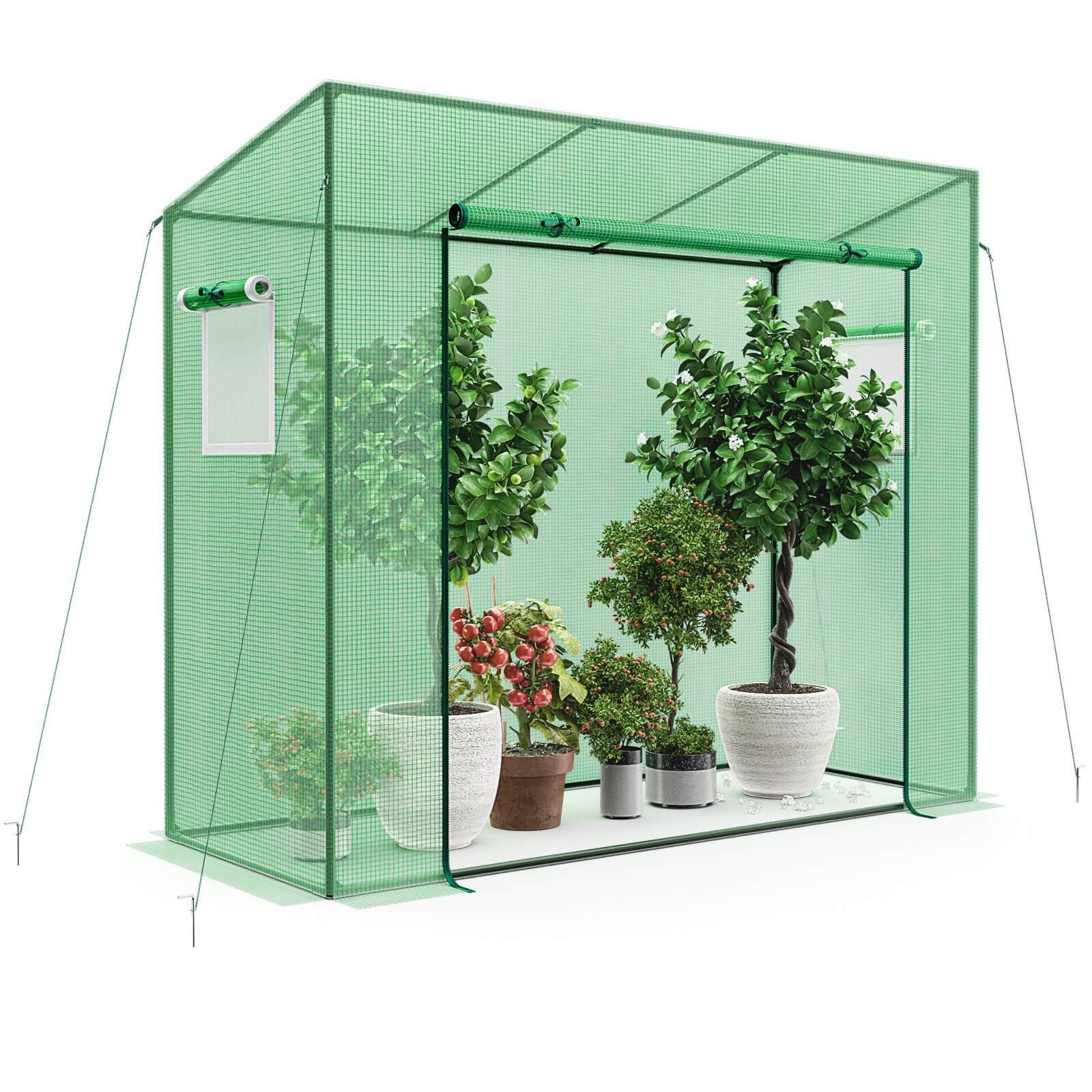 Portable Mini Greenhouse w/PE  - Greenhouse Mini Indoor recension och pris
