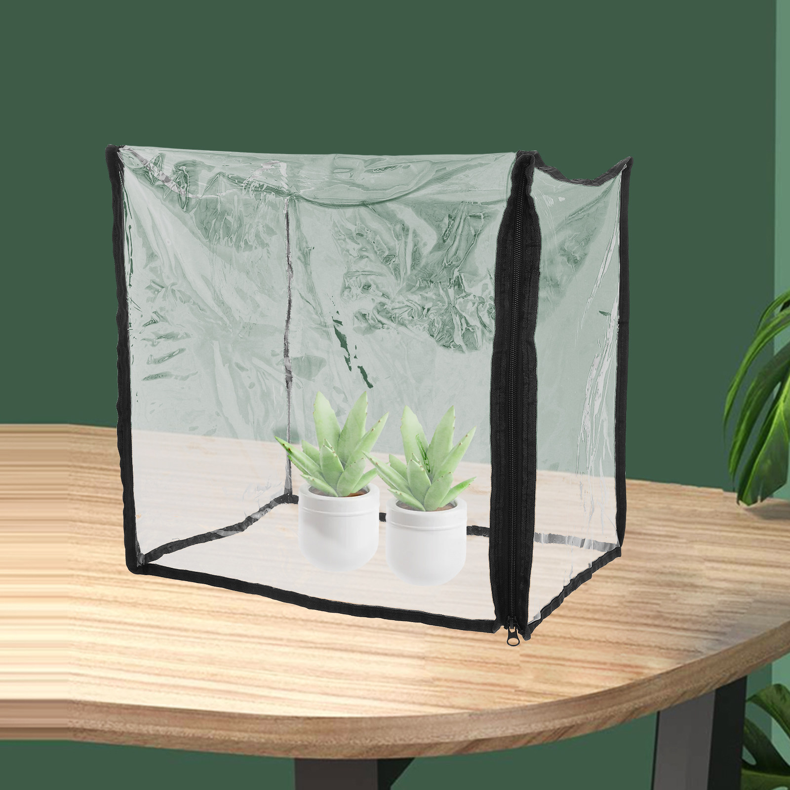 Mini Succulent Greenhouse Cove - Greenhouse Mini Indoor recension och pris