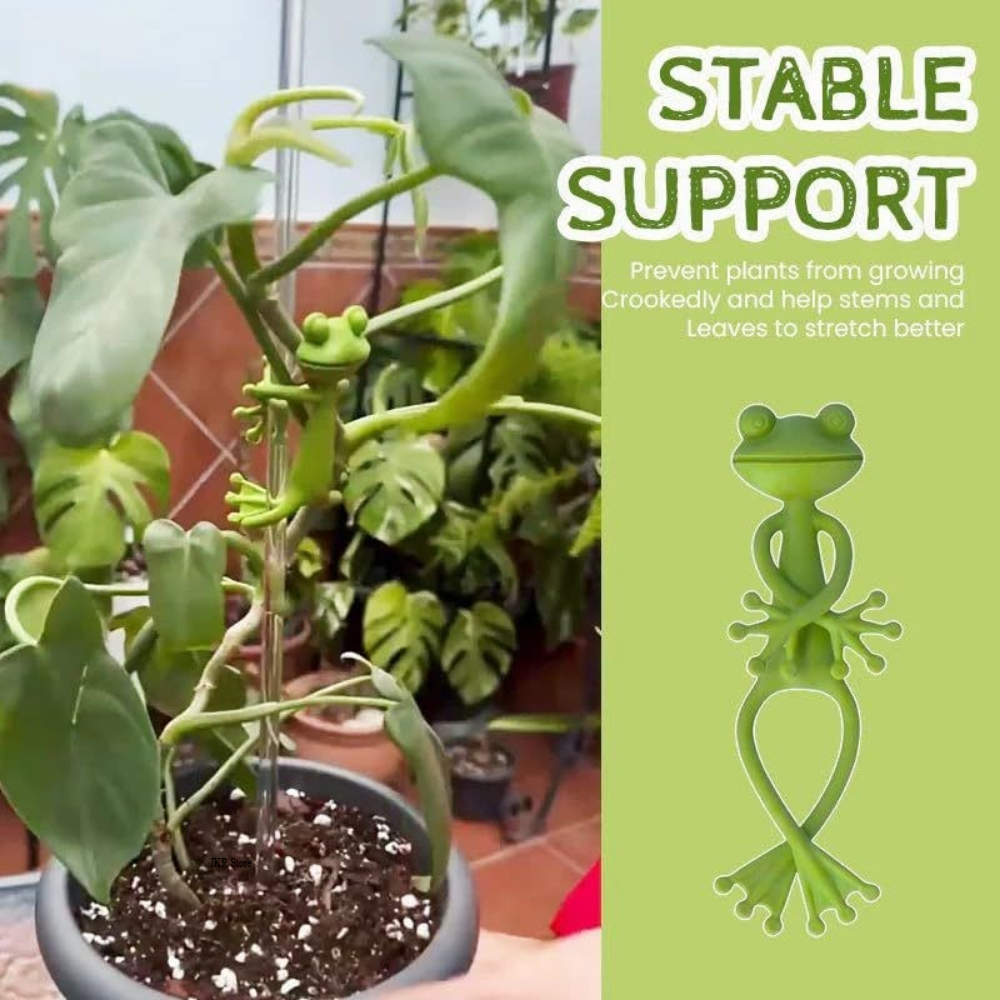 Tomato Plant Support Stake for - Gardening Tools Holder recension och pris